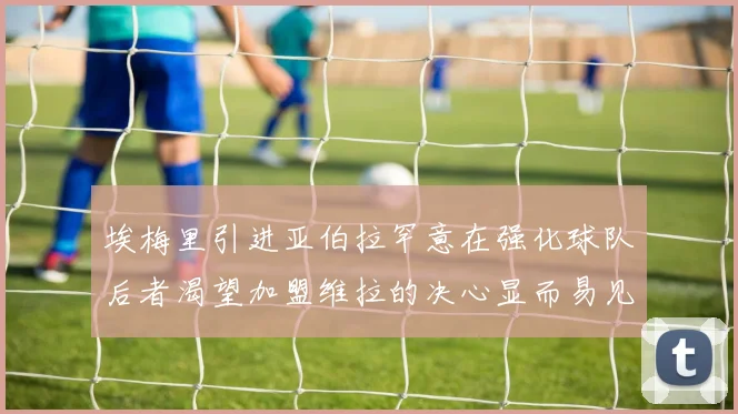 埃梅里引进亚伯拉罕意在强化球队后者渴望加盟维拉的决心显而易见