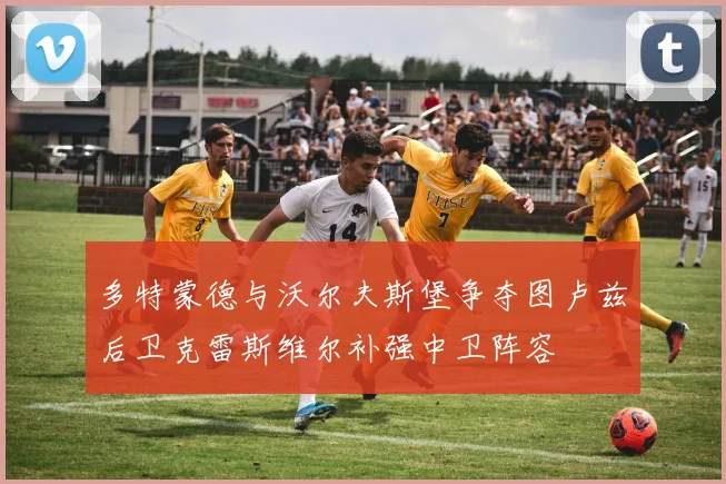 多特蒙德与沃尔夫斯堡争夺图卢兹后卫克雷斯维尔补强中卫阵容